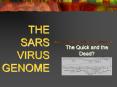 THE SARS VIRUS GENOME The Quick and the Dead? SARS Sever