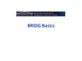 BRIDG Basics * * * * * * * * * * * * * * * * * * * * * * * 