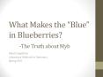 What Makes the  Blue  in Blueberries?-The Truth about Myb