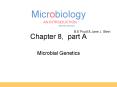 Chapter 8, part A Microbial Genetics Terminology Genetic