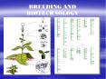 BREEDING AND BIOTECHNOLOGY Breeding? Application of genetic
