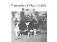 Principles of Dairy Cattle Breeding Calculating Improvement