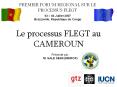 PREMIER FORUM REGIONAL SUR LE PROCESSUS FLEGT 03   0