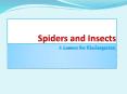 Spiders Spiders have two body parts, the head and th