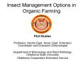 Use cages and/or beneficial insect meal to keep insect