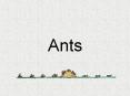 Ants Ant Body Parts Ants are insects. They have 3 body part