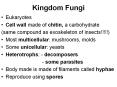 Kingdom Fungi Eukaryotes Cell wall made of chitin, 