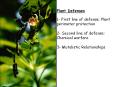 Plant Defenses 1- First line of defense: Plant perimete
