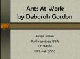 Ants At Work by Deborah Gordon Paige Johan Anthropology 179
