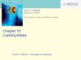Draft from 2/e. Carbohydrates Carbohydrate: 