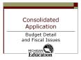 Consolidated Application Budget Detail and Fiscal Issue