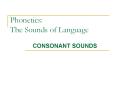 Phonetics: The Sounds of Language CONSONANT SOUNDS Places o