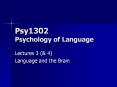 Psy1302 Psychology of Language Lectures 3 (& 4) Language an