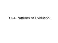 17-4 Patterns of Evolution Evolution Macroevolution Bi