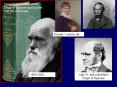 Yes! Evolution Microevolution (Special Evolution