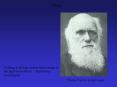 Evolution Nothing in biology makes sense except in the ligh