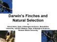 Darwin s Finches and Natural Selection by Cheryl Heinz