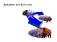 Speciation and Extinction Mutation Point mutation Synonymou