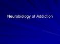 Neurobiology of Addiction Degrees of Substance Us