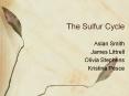 The Sulfur Cycle Aslan Smith James Littrell Olivia Stephen