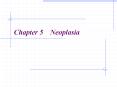 Chapter 5 Neoplasia Background The tumor is a common diseas