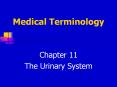 Medical Terminology Chapter 11 The Urinary Syste