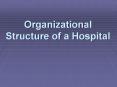 Organizational Structure of a Hospital Levels allo