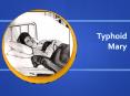 Typhoid Mary Typhoid Fever Salmonella typhi bacteri