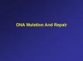 DNA Mutation And Repair Base Mismatch Repair DNA polymeras