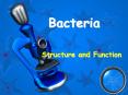 Bacteria Structure and Function Prokaryote & Eukaryot