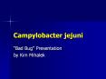 Campylobacter jejuni  Bad Bug  Presentation by Kim Mihale