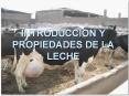 INTRODUCCION Y PROPIEDADES DE LA LECHE Obtenci n de la lech