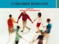 CONSUMER BEHAVIOR BUAD 307 MARKETING FUNDAMENTALS * * * * 