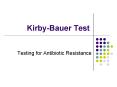 Kirby-Bauer Test Testing for Antibiotic Resistance Wh
