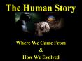 The Human Story Where We Came From & How We Evolve