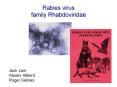 Rabies virus family Rhabdoviridae Jack Lam Atsuko Hilliar