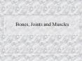 Bones, Joints and Muscles Bones: 206 in human body Functio