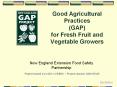 Good Agricultural Practices (GAP) for Fresh Fruit an