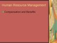 Human Resource Management Compensation and Benefits * * * 