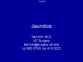 Jaundice Tad Kim, M.D. UF Surgery tad.kim@surgery.ufl.ed