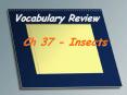 ... Labium A sound-sensing membrane on the abdomen of a
