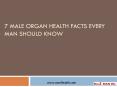 7 Male Organ Health Facts Every Man Should Know