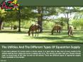 The Utilities and the Different Types of Equestrian Supply