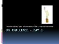 My Challenge Day 9: Internet Business Ideas To Increase Your Value & Financial Thermostat
