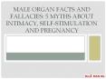 Male Organ Facts and Fallacies: 5 Myths About Intimacy, Self-stimulation and Pregnancy
