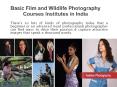 Basic Film and Wildlife Photography Courses Institutes in India