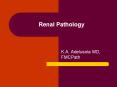 Renal Pathology K.A. Adelusola MD, FMCPath ..