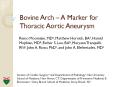 Bovine Arch   A Marker for Thoracic Aortic Aneurysm Rem