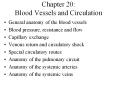 Chapter 20: Blood Vessels and Circulation General anatomy o