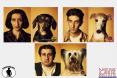 Comparative Oncology Companion Animal Cancer Models Larg